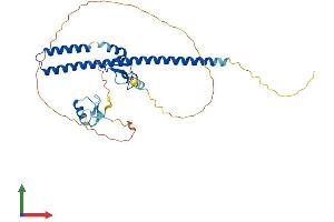 Protein Structure (PS) image for Tripartite Motif Containing 44 (TRIM44) (AA 1-344) protein (His tag) (ABIN7544717)
