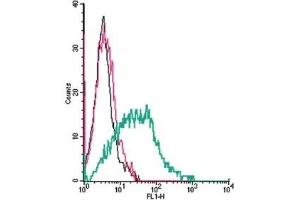 Flow Cytometry (FACS) image for anti-Alpha-2A Adrenergic Receptor (ADRA2A) (AA 7-20), (Extracellular) antibody (ABIN7042899)