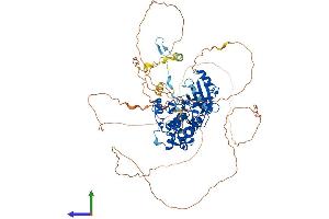 Protein Structure (PS) image for P21 Protein (Cdc42/Rac)-Activated Kinase 7 (PAK7) (AA 1-719) protein (His tag) (ABIN7554890)