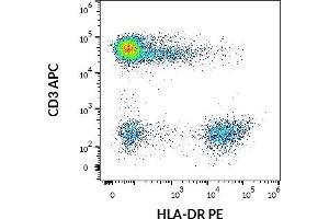 Flow cytometry multicolor surface staining pattern of human lymphocytes using anti-human CD3 (UCHT1) APC antibody (10 μL reagent / 100 μL of peripheral whole blood) and anti-human HLA-DR (L243) PE antibody (10 μL reagent / 100 μL of peripheral whole blood). (HLA-DR 抗体  (PE))