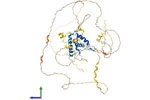 Protein Structure (PS) image for SRY (Sex Determining Region Y)-Box 9 (SOX9) (AA 1-507) protein (His tag) (ABIN7556890)