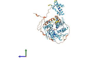 Protein Structure (PS) image for Zinc Finger Protein 181 (ZNF181) (AA 1-571) protein (His tag) (ABIN7545449)