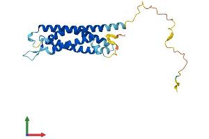 Protein Structure (PS) image for Synaptogyrin 2 (SYNGR2) (AA 1-224) protein (His tag) (ABIN7546327)