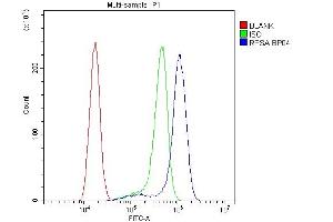 Flow Cytometry analysis of A431 cells using anti-RPSA antibody (ABIN4886715). (RPSA/Laminin Receptor 抗体  (AA 2-138))