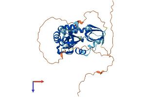 Protein Structure (PS) image for Tudor Domain Containing 10 (TDRD10) (AA 1-366) protein (His tag) (ABIN7544274)