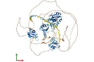 Protein Structure (PS) image for RNA Binding Motif Protein 12 (RBM12) (AA 1-932) protein (His tag) (ABIN7551213)