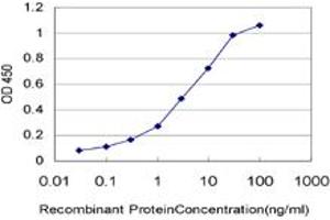 Detection limit for recombinant GST tagged HIC1 is approximately 0. (HIC1 抗体  (AA 396-453))