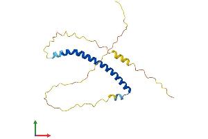 Protein Structure (PS) image for Nucleosome Assembly Protein 1-Like 5 (NAP1L5) (AA 1-182) protein (His tag) (ABIN7549951)