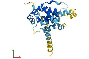 Protein Structure (PS) image for BCL2-Like 10 (Apoptosis Facilitator) (BCL2L10) (AA 1-191) protein (His tag) (ABIN7556341)