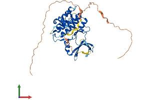 Protein Structure (PS) image for Tribbles Homolog 3 (Drosophila) (TRIB3) (AA 1-358) protein (His tag) (ABIN7555855)