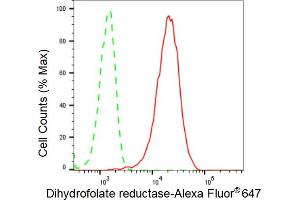 Flow cytometric analysis of Dihydrofolate reductase expression in HeLa cells using Dihydrofolate reductase antibody (ABIN7798334), 1:2,000). (Recombinant Dihydrofolate Reductase 抗体)