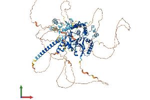 Protein Structure (PS) image for OTU Domain Containing 7A (OTUD7A) (AA 1-926) protein (His tag) (ABIN7554862)