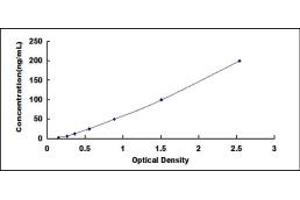 Typical standard curve (Tryptophan Hydroxylase 1 ELISA 试剂盒)