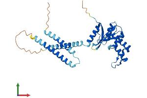 Protein Structure (PS) image for OTU Domain Containing 6B (OTUD6B) (AA 1-293) protein (His tag) (ABIN7550331)
