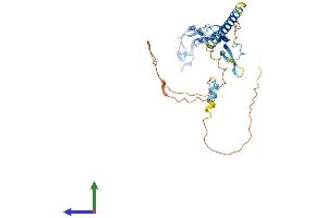 Protein Structure (PS) image for Ectodysplasin A2 Receptor (EDA2R) (AA 1-297) protein (His tag) (ABIN7544728)