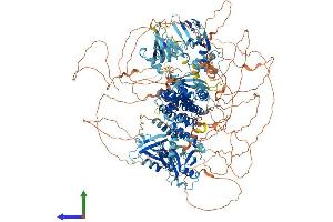 Protein Structure (PS) image for Rap Guanine Nucleotide Exchange Factor (GEF) 6 (RAPGEF6) (AA 1-1601) protein (His tag) (ABIN7555277)