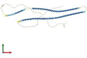 Protein Structure (PS) image for Keratin 81 (KRT81) (AA 1-505) protein (His tag) (ABIN7548913)