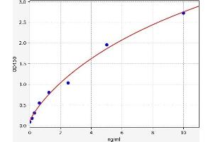 Sclerostin Domain Containing 1 (SOSTDC1) ELISA Kit