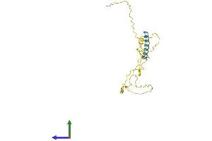 AlphaFold protein structure predicition of Human Recombinant TCEAL3 Protein, UniprotID Q969E4