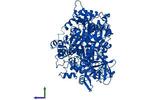 Protein Structure (PS) image for Aconitase 1 (ACO1) (AA 1-889) protein (His tag) (ABIN7563044)