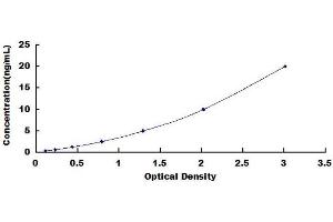 Typical standard curve (Cathepsin L ELISA 试剂盒)