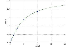 A typical standard curve (CREB1 ELISA 试剂盒)