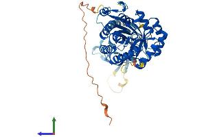 Protein Structure (PS) image for Arginine Decarboxylase (ADC) (AA 1-459) protein (His tag) (ABIN7564437)
