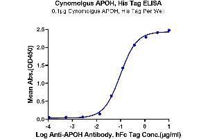 ELISA image for Apolipoprotein H (Beta-2-Glycoprotein I) (APOH) (AA 20-345) protein (His tag) (ABIN7273856)