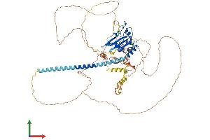 Protein Structure (PS) image for TSPY-Like 2 (TSPYL2) (AA 1-677) protein (His tag) (ABIN7558274)