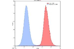 Detection of HAVCR2 in ChoK1 transfected with target gene using Polyclonal Antibody to Hepatitis A Virus Cellular Receptor 2 (HAVCR2) (TIM3 抗体  (AA 22-202))
