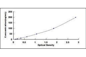 ELISA image for Proprotein Convertase Subtilisin/kexin Type 9 (PCSK9) ELISA Kit (ABIN419832)