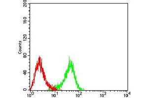 Flow Cytometry (FACS) image for anti-Chemokine (C-C Motif) Receptor 3 (CCR3) antibody (ABIN5611257)