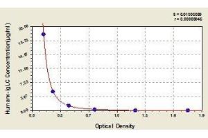 Typical standard curve (kappa Light Chain ELISA 试剂盒)