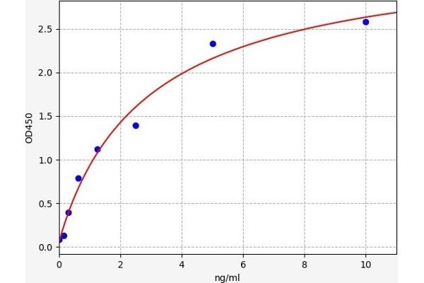 TOMM20 ELISA 试剂盒