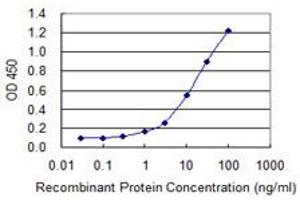 Detection limit for recombinant GST tagged PDE8A is 0. (PDE8A 抗体  (AA 32-121))