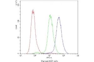 Flow cytometry testing of human A431 cells with PLIN1 antibody at 1ug/10^6 cells (blocked with goat sera)
