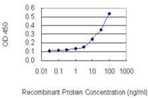 Detection limit for recombinant GST tagged SMUG1 is 3 ng/ml as a capture antibody. (SMUG1 抗体  (AA 1-177))