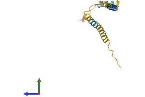 Protein Structure (PS) image for Organic Solute Transporter beta (OSTBETA) (AA 1-128) protein (His tag) (ABIN7550538)