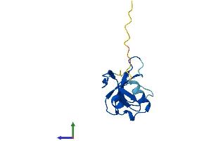 Protein Structure (PS) image for Cysteine-Rich, DPF Motif Domain Containing 1 (CDPF1) (AA 1-123) protein (His tag) (ABIN7553340)