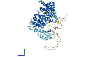 AlphaFold protein structure predicition of Human Recombinant IGF2BP2 Protein, UniprotID Q9Y6M1