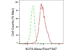 Flow cytometric analysis of KLF4 expression in HepG2 cells using KLF4 antibody (ABIN7799216), 1:2,000).