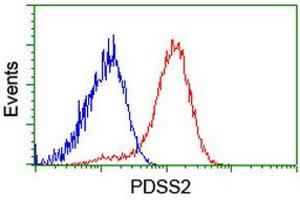 Flow cytometric Analysis of Hela cells, using anti-PDSS2 antibody (ABIN2455301), (Red), compared to a nonspecific negative control antibody, (Blue). (PDSS2 抗体)