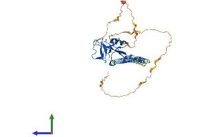 Protein Structure (PS) image for C-Type Lectin Domain Family 17, Member A (CLEC17A) (AA 1-378) protein (His tag) (ABIN7546590)