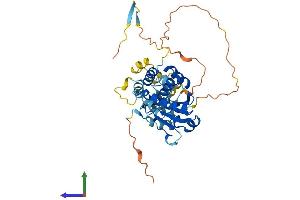 AlphaFold protein structure predicition of Human Recombinant DUSP6 Protein, UniprotID Q16828