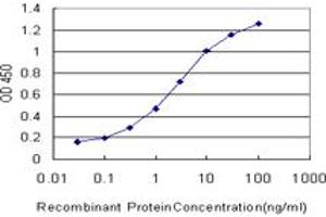 Detection limit for recombinant GST tagged ATRX is approximately 0. (ATRX 抗体  (AA 2311-2410))