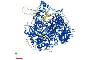 Protein Structure (PS) image for Phosphoribosylformylglycinamidine Synthase (PFAS) (AA 1-1337) protein (His tag) (ABIN7563839)