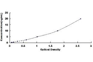 Typical standard curve (SDC4 ELISA 试剂盒)
