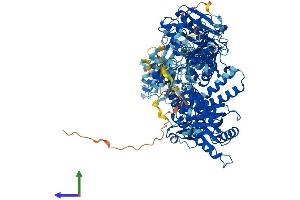 AlphaFold protein structure predicition of Human Recombinant POLD1 Protein, UniprotID P28340