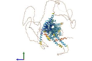 Protein Structure (PS) image for Sterol Regulatory Element Binding Transcription Factor 2 (SREBF2) (AA 1-1130) protein (His tag) (ABIN7563694)