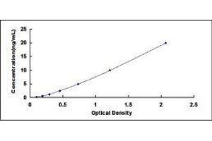 Receptor-Interacting serine-threonine Kinase 3 (RIPK3) ELISA Kit